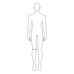 Men to do knee measurement fashion Illustration for size chart. 7.5 head size boy for site or online shop. Human body infographic template for clothes. 