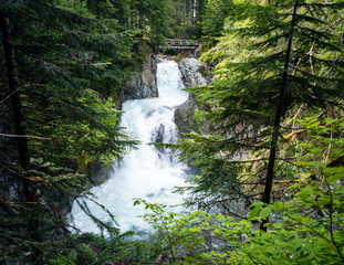 Fototapeta na wymiar Stunning Ohanapecosh River Falls on a summer afternoon in a pristine old growth forest with a bridge at the Snoqualmie National Forest Washington State