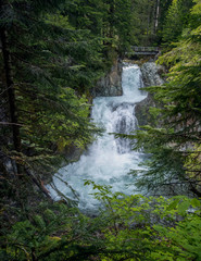 Fototapeta na wymiar Stunning Ohanapecosh River Falls on a summer afternoon in a pristine old growth forest with a bridge at the Snoqualmie National Forest Washington State