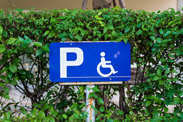 Handicap Parking Signs with green tree