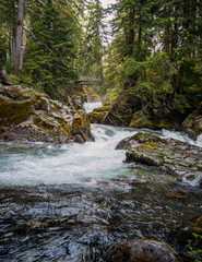 Glacier-fed Chinook Cascades flowing downward thru boulders in a forest setting at Mount Rainier National Park Washington State