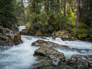 Glacier-fed Chinook Cascades flowing downward thru boulders in a forest setting at Mount Rainier National Park Washington State
