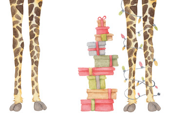 Giraffe legs with garland decoration and presents, Animal party watercolor hand drawn illustration