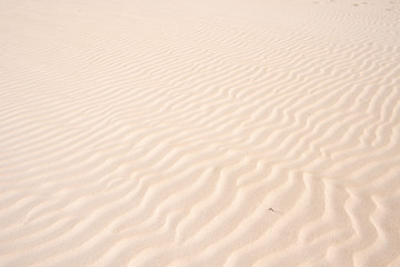 Golden sand in the dune, background of sand in the desert