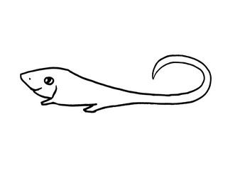 Black outline of set lizards