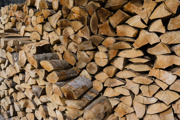 leña, valle de Hecho, pirineo aragones,Huesca,Spain