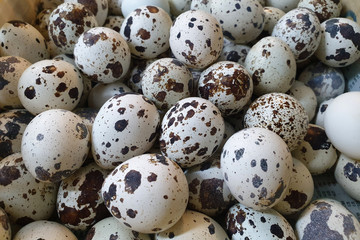 A heap of quail eggs in the basket. Top view image.