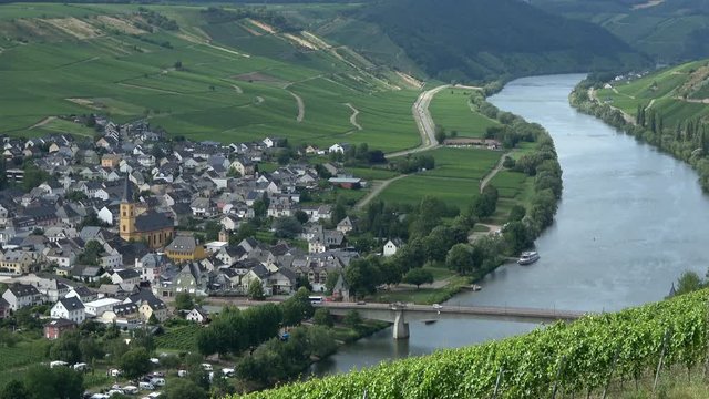 Moselschleife, Blick auf Trittenheim an der Mosel