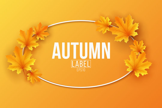 Autumn seasonal label with maple leaves on orange background. Festive template for design your advertisement. Greeting card. Vector illustration.