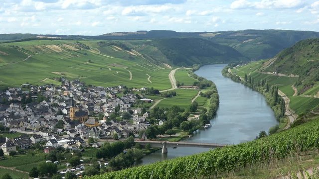 Moselschleife, Blick auf Trittenheim an der Mosel
