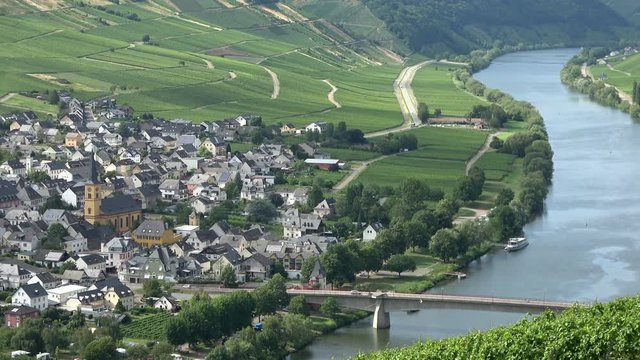 Moselschleife, Blick auf Trittenheim an der Mosel