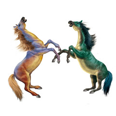 cheval, coloré, vert, mauve, robe spéciale, combat, debout, menaçant, bleu, fantastique, beau, force, animal, isolé, blanc, silhouette, illustration, étalon, course, galop, sauvage, courir, mammifère