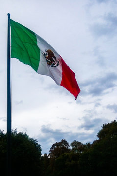 Bandera de M&eacute;xico izada con un cielo nublado de fondo y algunos &aacute;rboles en la parte de abajo