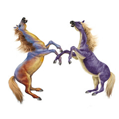 cheval, coloré, vert, mauve, robe spéciale, combat, debout, menaçant, bleu, fantastique, beau, force, animal, isolé, blanc, silhouette, illustration, étalon, course, galop, sauvage, courir, mammifère