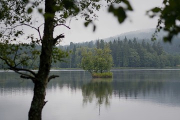 Fototapeta na wymiar An Island In The Middle Of The Lake In The Czech Moorland Kladska In The Background During The Misty Day