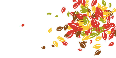 Falling autumn leaves. Red, yellow, green, brown c