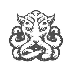 octopus. squid black and white vector. illustration for tattoo or t shirt