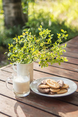 Home made chocolate chip cookies and milk with bluberries life in the vilage in isolation