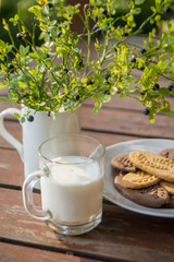 Home made chocolate chip cookies and milk with bluberries life in the vilage in isolation