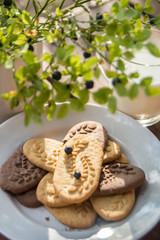 Home made chocolate chip cookies and milk with bluberries life in the vilage in isolation