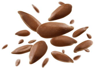 Flax seeds are levitated on a white background