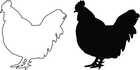 hen and chicken