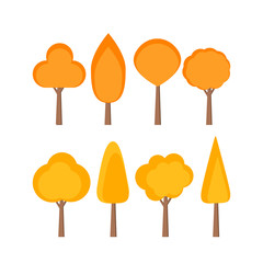 This is a collection of the tree on a white background.