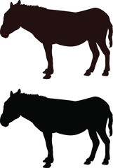 silhouette of a donkey
