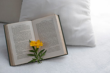 洋書と休日カフェリラックスタイム