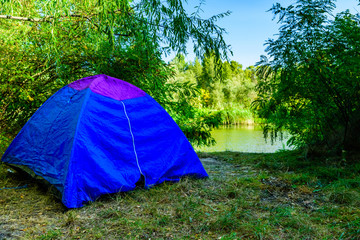 Blue tent in a forest on summer