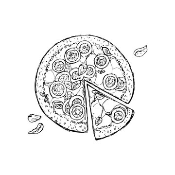 Pizza. vector illustration of the sketch style.