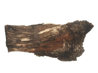 Piece of old rotten wood bark isolated on a white background