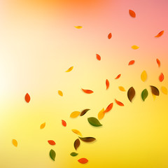 Falling autumn leaves. Red, yellow, green, brown c
