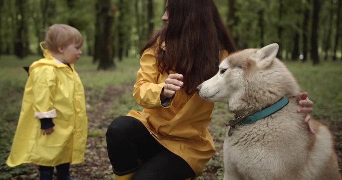 young mother with her son in yellow rain jackets and with siberian husky puppy outdoors in the park after the rain