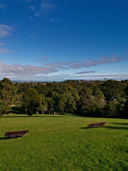 Beautiful view of a park with green grass, tall trees and blue sky from top of a hill, Terry Road Lookout, Denistone, Sydney New South Wales, Australia
