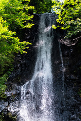 Fototapeta na wymiar 羽衣白糸の滝