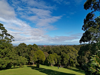 Fototapeta na wymiar Beautiful view of a park with green grass, tall trees and blue sky from top of a hill, Terry Road Lookout, Denistone, Sydney New South Wales, Australia 