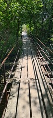 Old wooden bridge over the ravine.