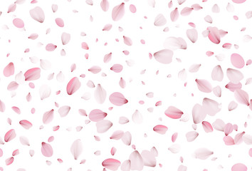 Seamless sakura petals. Falling realistic cherry petals