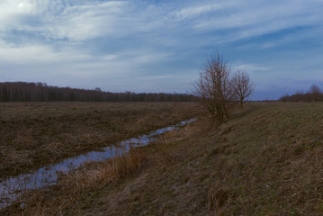 Small swampy river in the field. Wilted grasses on the banks of the river. Evening landscape.