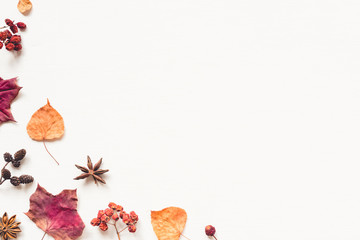 Autumn background made of leaves, berries and cones. Flat lay, top view. Copy space for text.