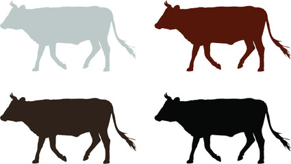silhouettes of cows