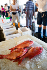 Fresh raw Fish at the fish market.