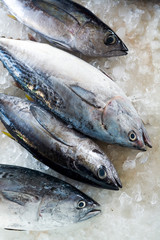 All kinds of fresh seafood in the traditional fishing market, Taiwan.