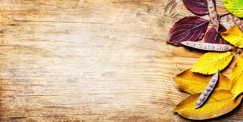 Top view of yellow autumn leaves frame on vintage wooden background. Fall season with brown beech leaf border on rustic table texture