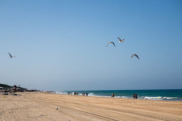 La Barrosa beach in Sancti Petri, Cádiz, with a large amount of sand without water as the tide is low