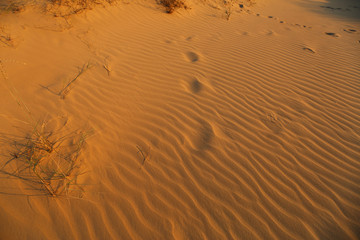 Sunset landscape in desert sand dunes in Oleshky sands, Ukraine