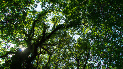 Scorcio dalla via delle cascate perdute a Sarnano