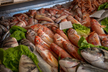 świeżo złowione ryby na targu w porcie