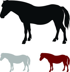 horse silhouette vector